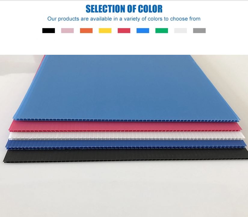 taflen pp esd Images.jpg manwl