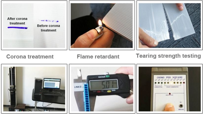 dd pp sheet image.jpg