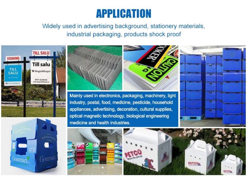 dd pp sheet Taflen gais fanwl.jpg